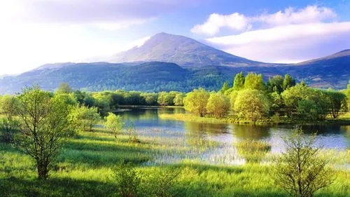 智能系统环保无人化
